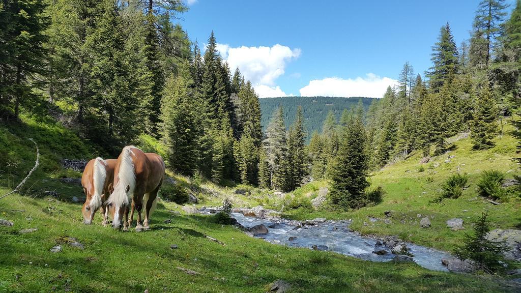 Gaestepension Klammer Картич Екстериор снимка